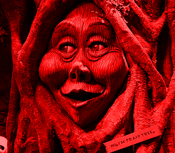 ANIMATRONICS